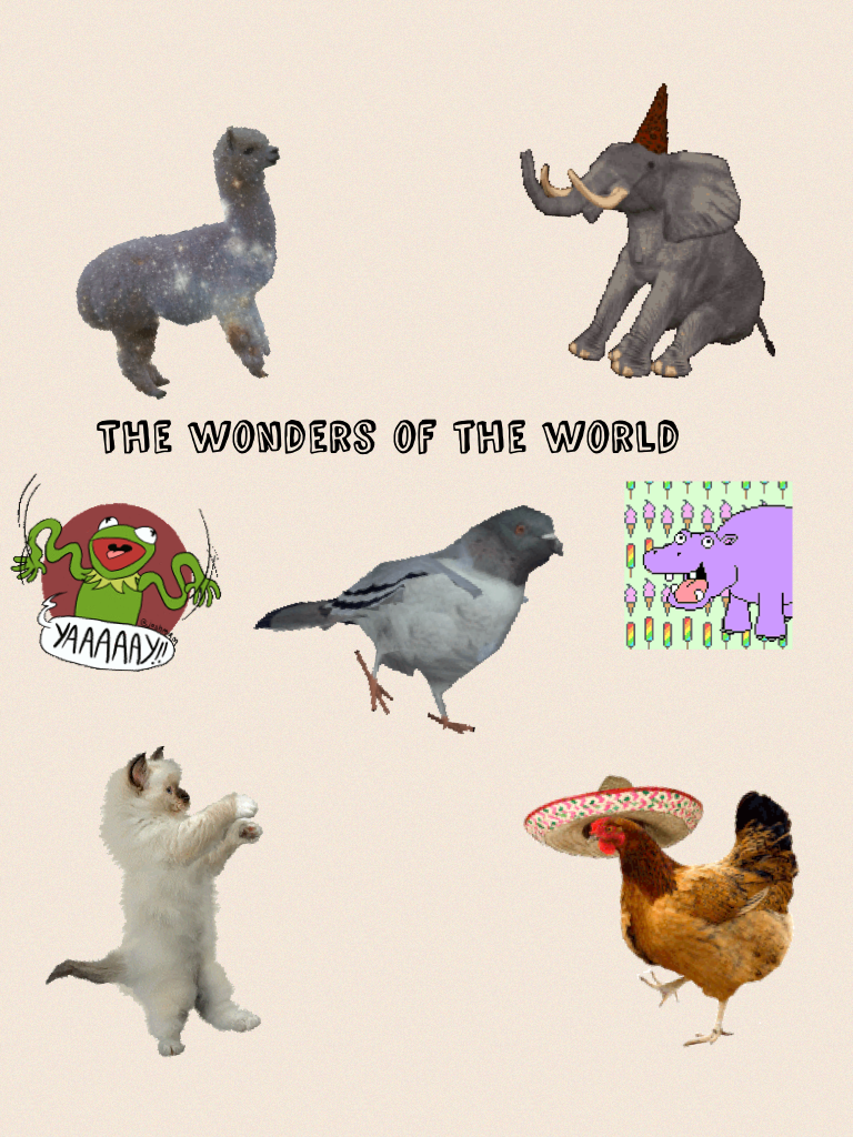 The wonders of the world