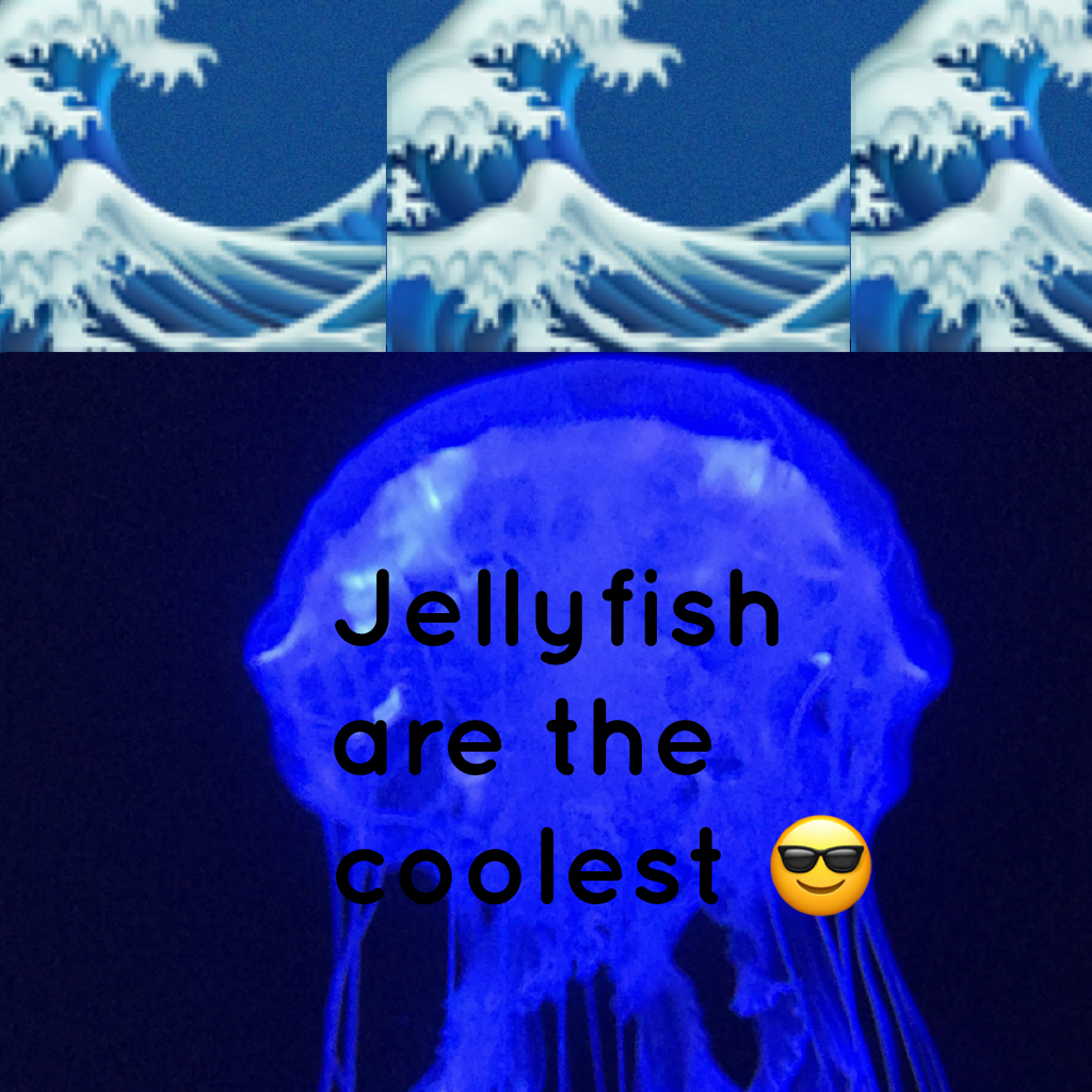 Jellyfish are the coolest 