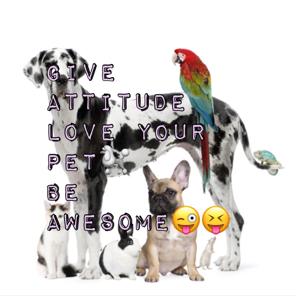 GIVE ATTITUDE 
LOVE YOUR PEt🐩
Be Awesome😜😝