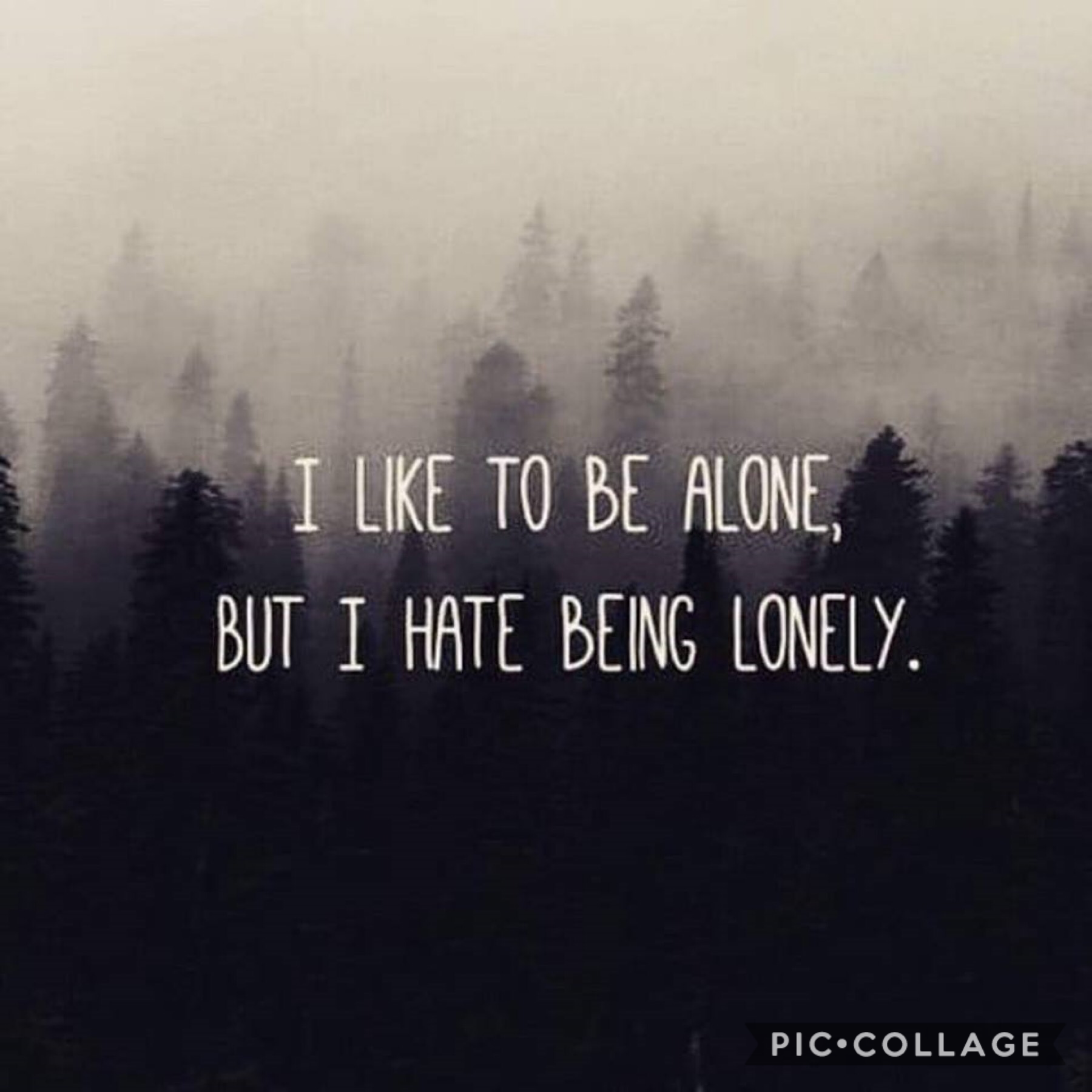 This is how I feel every time people ask me why I am so quiet and antisocial. I’m not desperate for a crowd, so I don’t like to hang out with people like them🙄