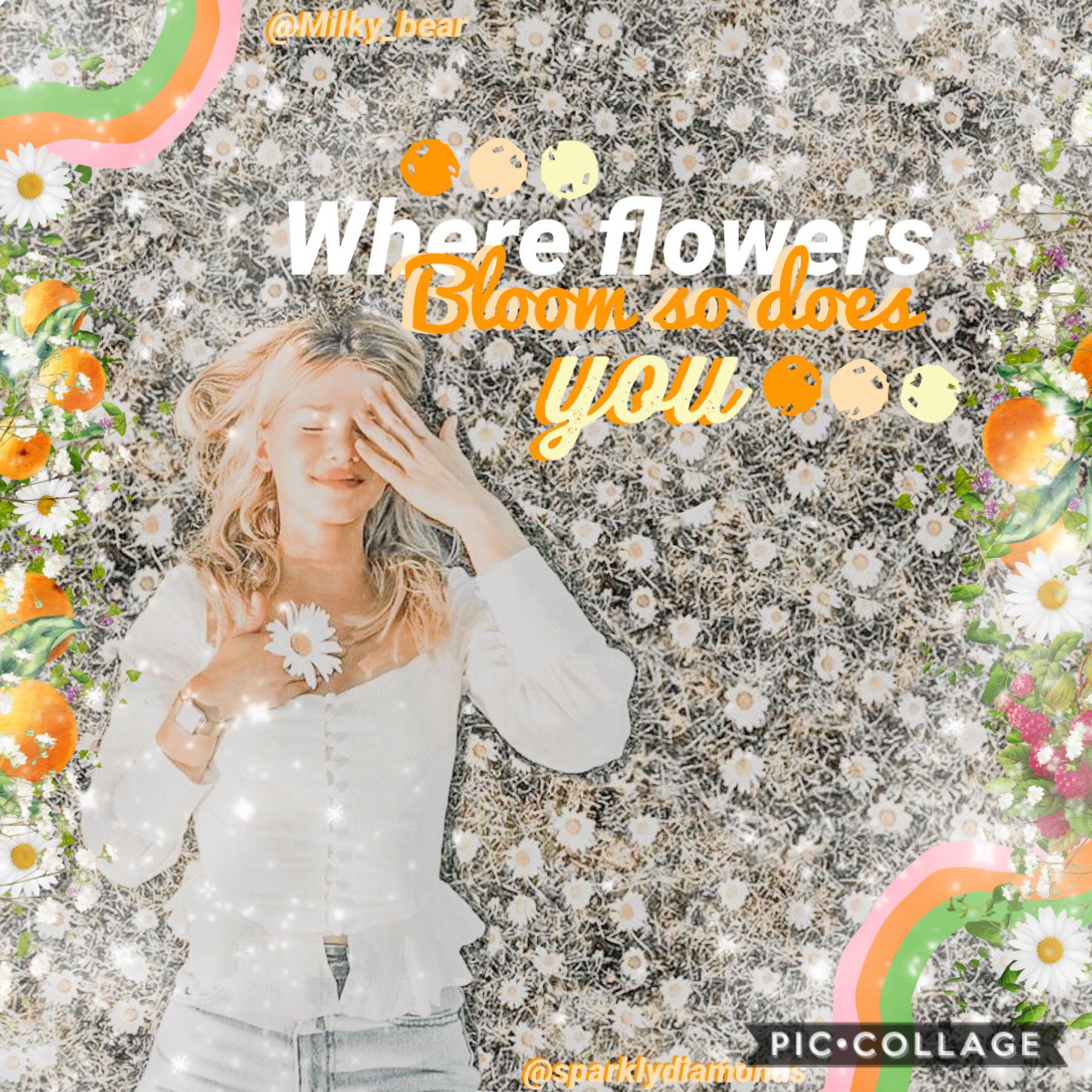 🥁COLLAB WITH 🥁
My forever bestie -sparklydiamonds- our second collab she’s so nice make sure to go follow her Also this is entered in the spring contest for the spring contest so yeah I’m excited fo spring we’ll (I’m excited for Autum cause here in Austra