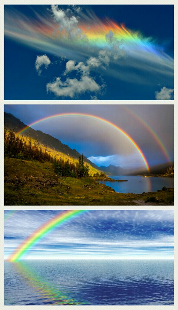 Rainbow 🌈 world 🌎