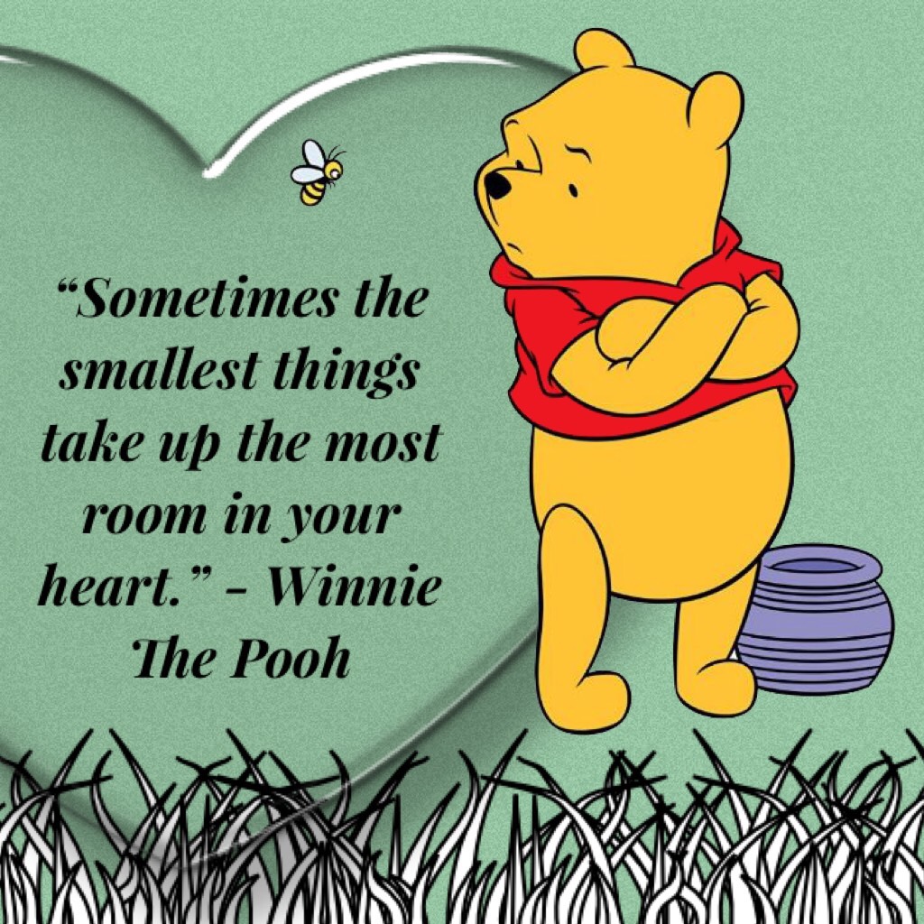 Another Winnie The Pooh post, cuz why not. 😆 ❤️ 🐝