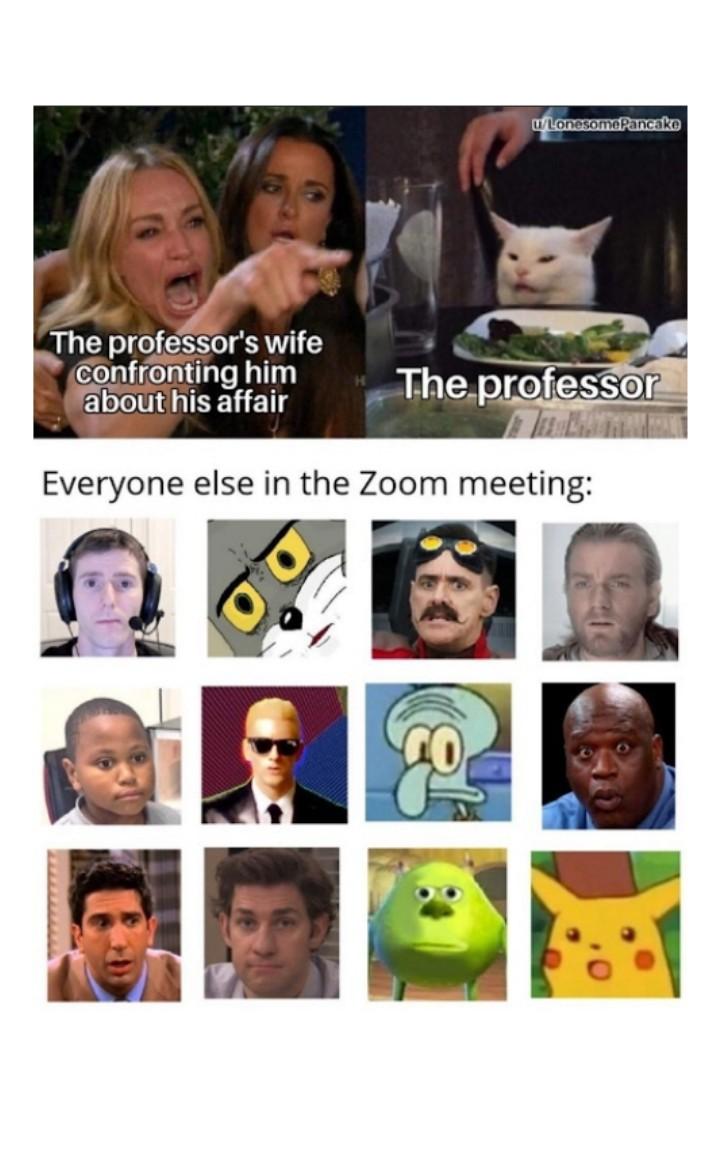 🤓tap🤓

Can't we just appreciate this Zoom meeting meme?