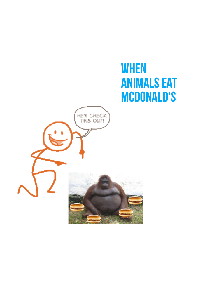 When animals eat McDonald's 