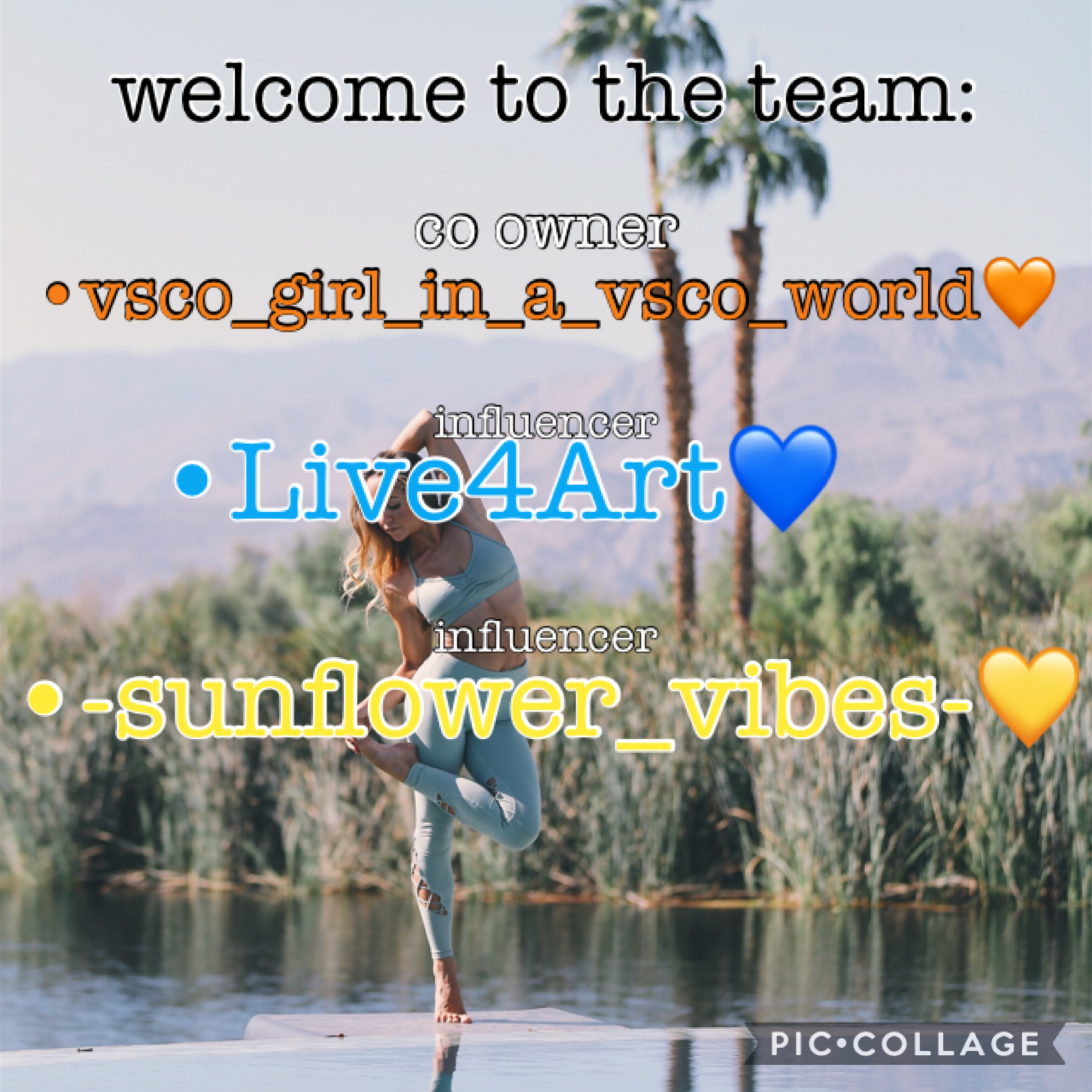 vsco_girl_in_a_vsco_world (co owner)

Live4Art (influencer)

-sunflower_vibes- (influencer)