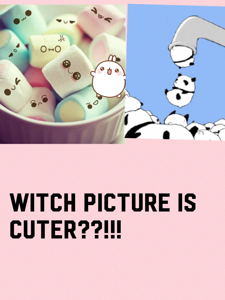 Witch picture is cuter??!!!