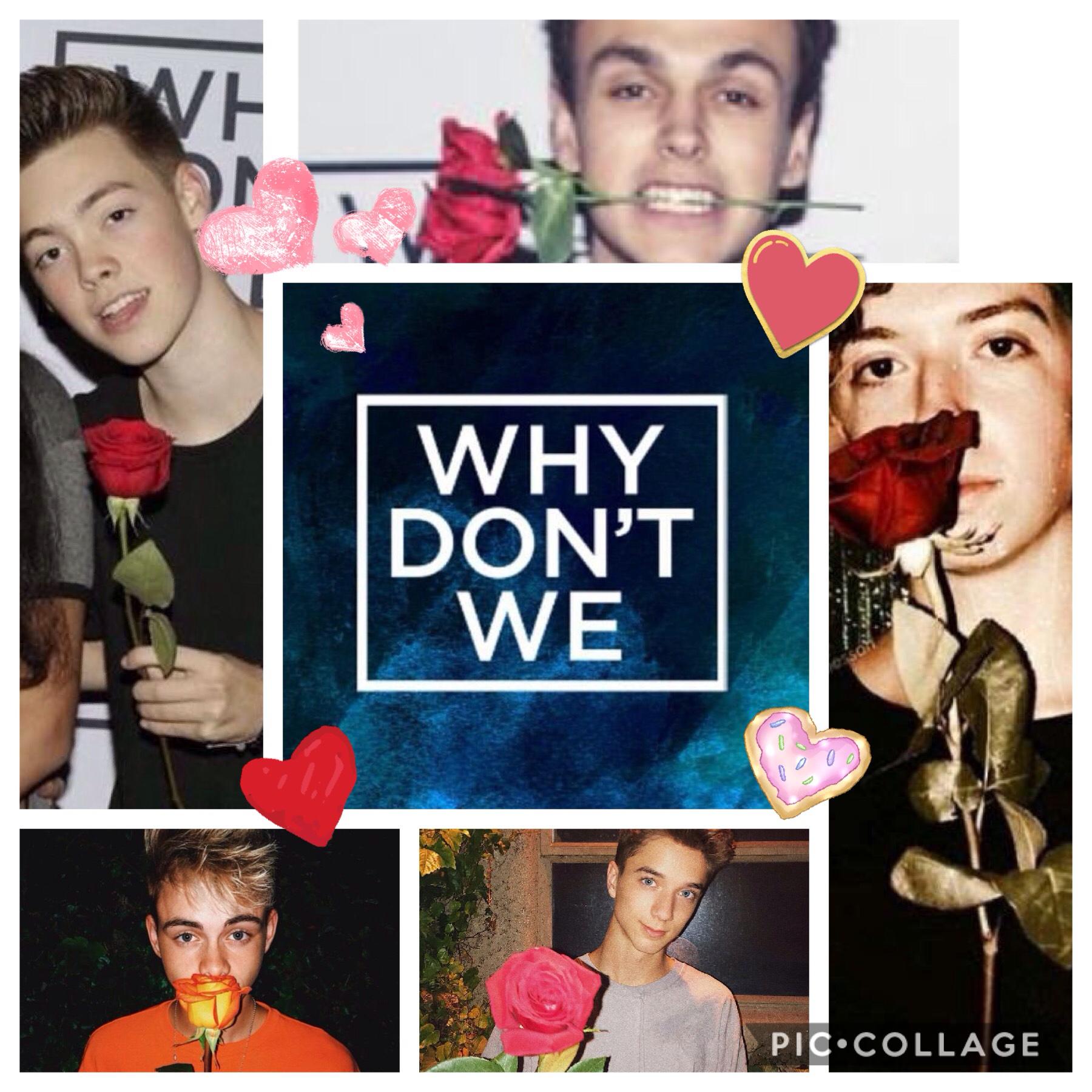 Why Don't We. Handing us all roses ❤️💛💚💙💜