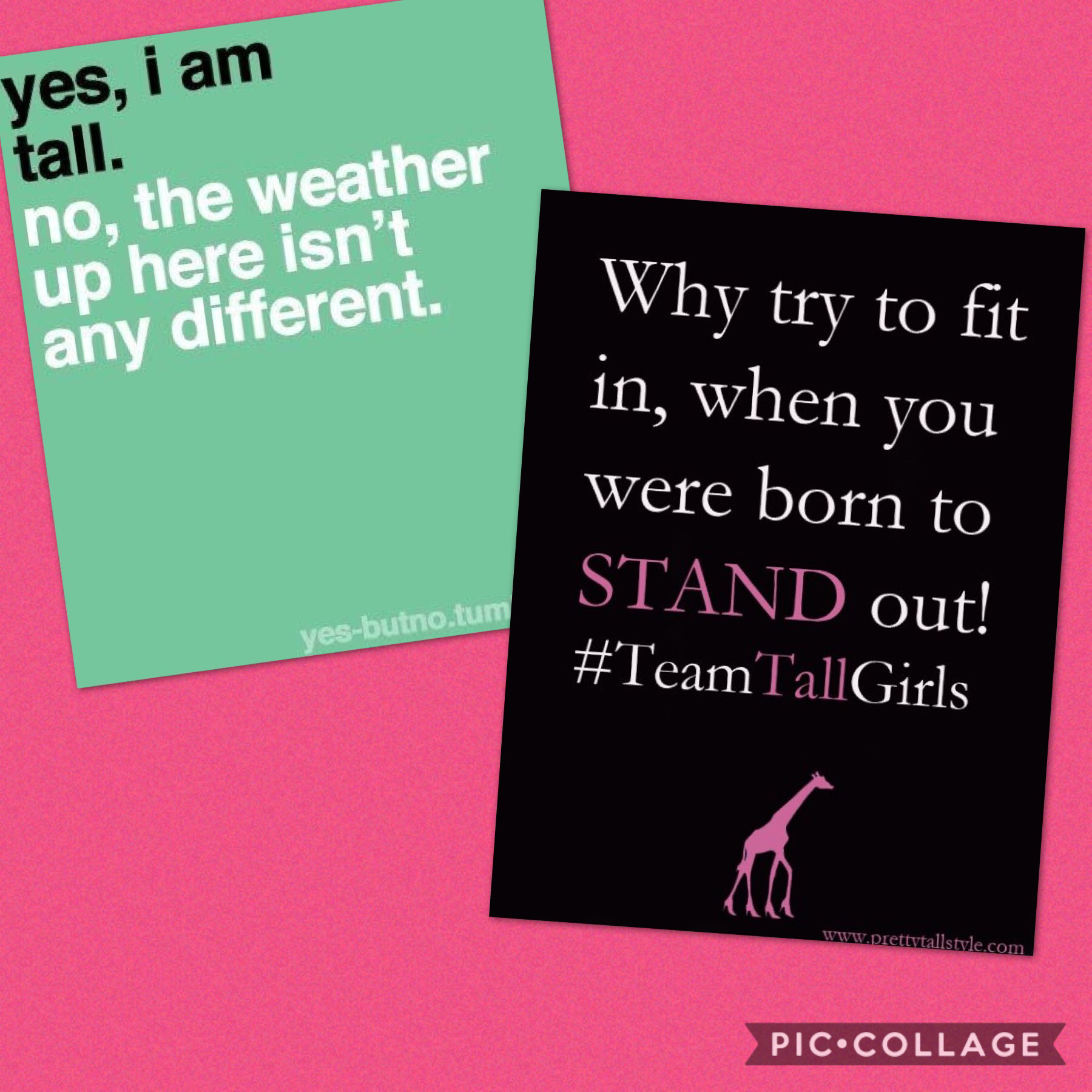 #TeamTallGirls #TallGirlProblems
#TheWeatherIsFine