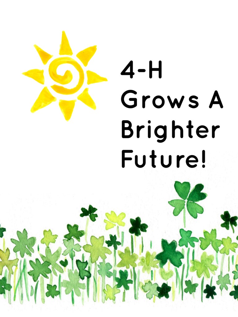 4-H Builds A Brighter Future!