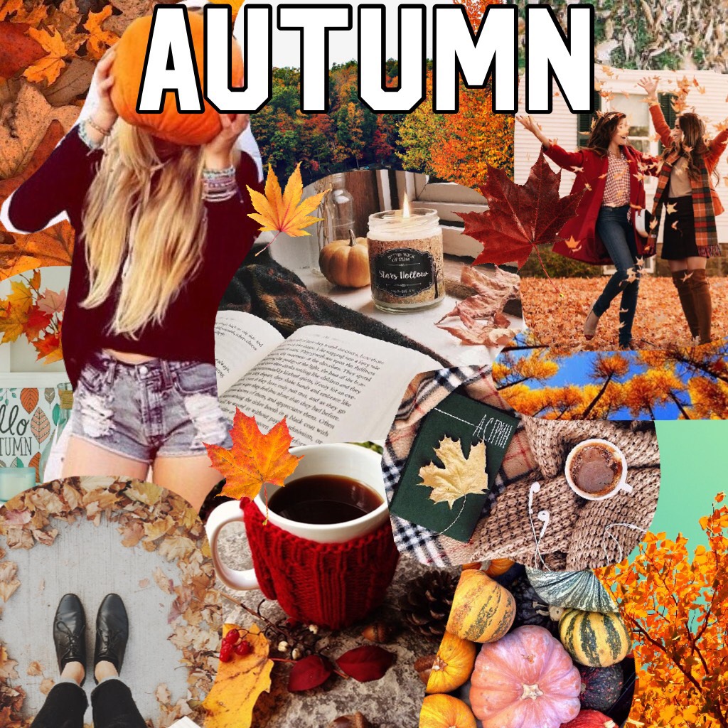 Autumn 🍂❤️