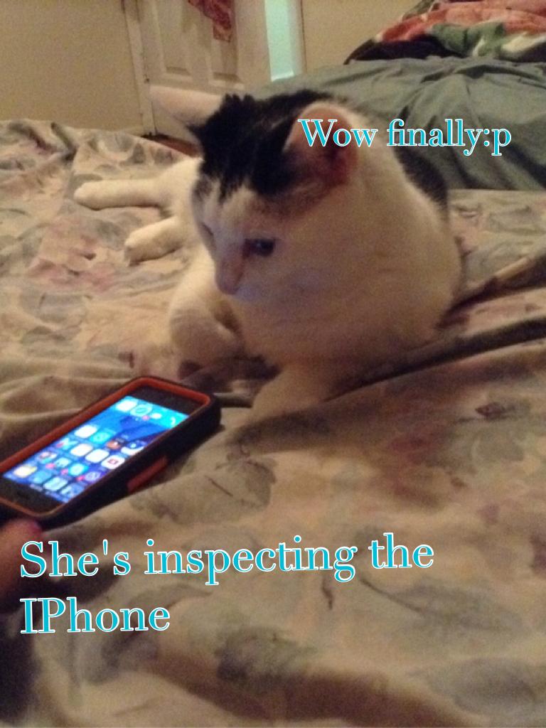 She's inspecting the IPhone!!