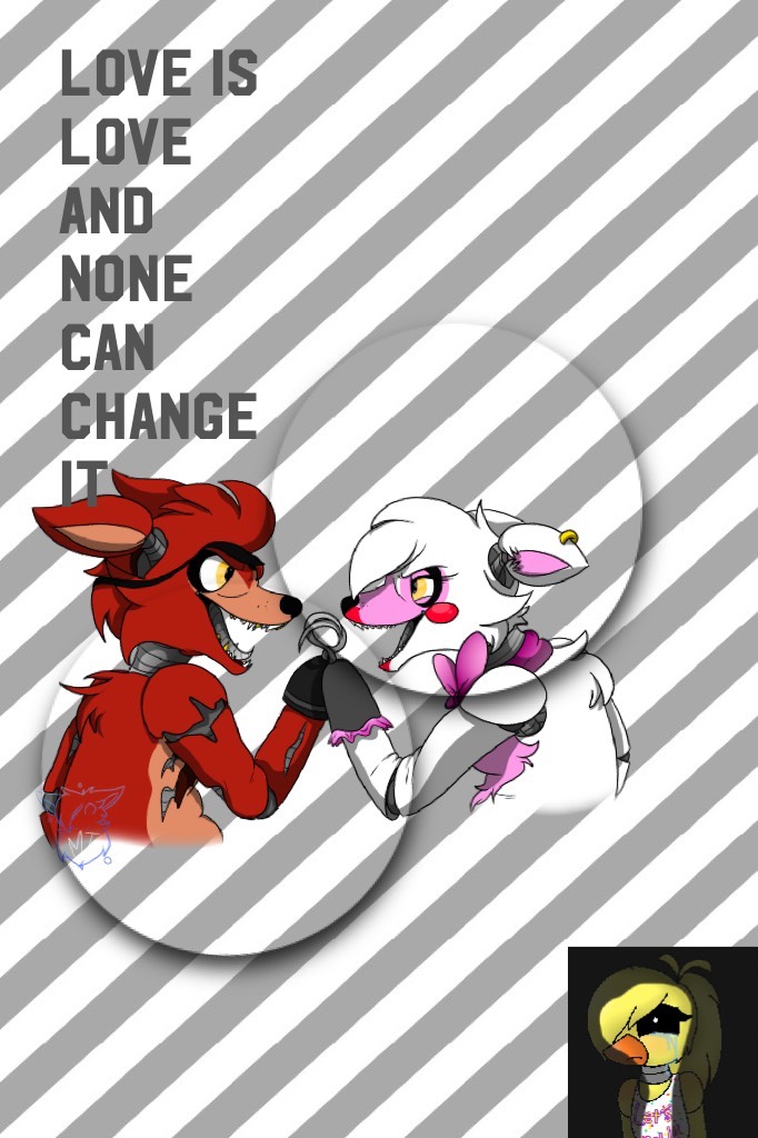 love is love and none can change it 