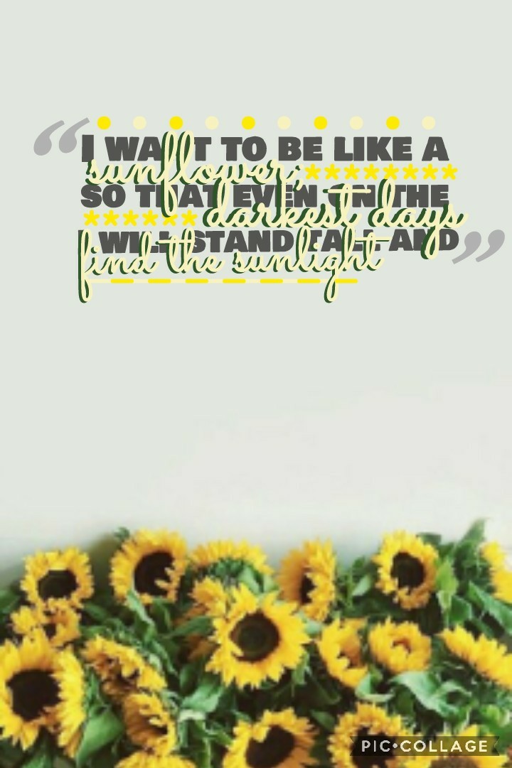 🌻🌻
idk why but for some reason I LOVE the gray quote things in the corners. I saw someone do it and decided to try it out!