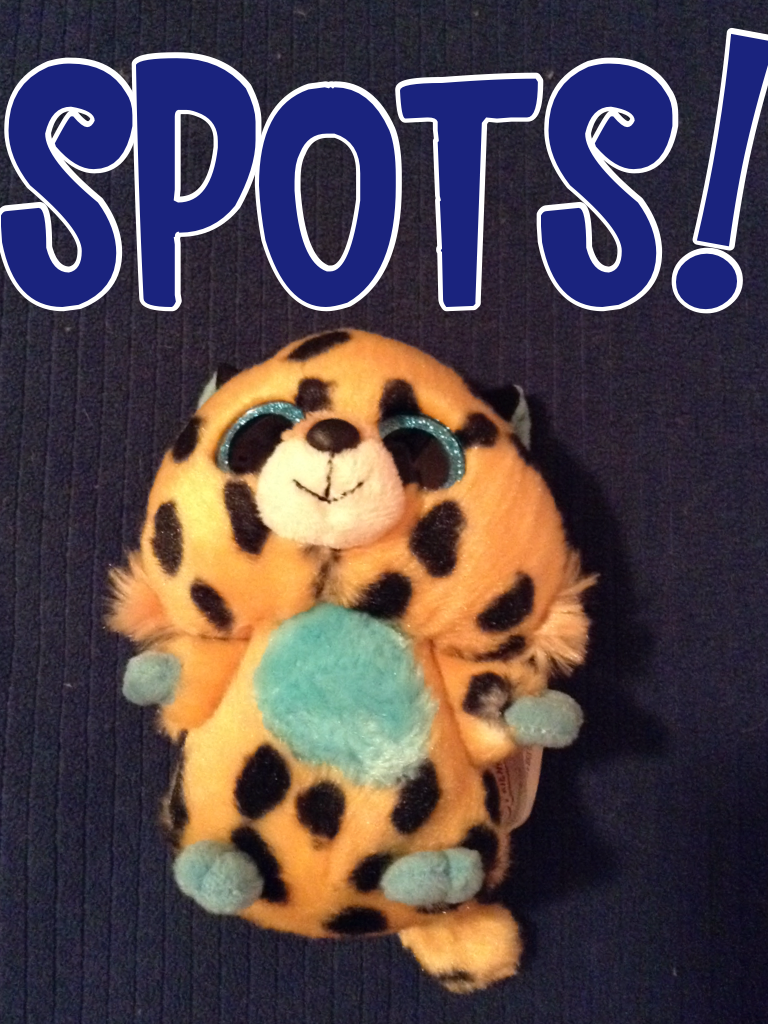 I went to the Dallas zoo today and got a stuffed animal! YAY