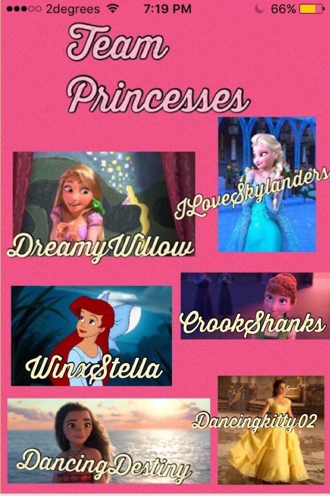 Team Princess for Disney games is full.