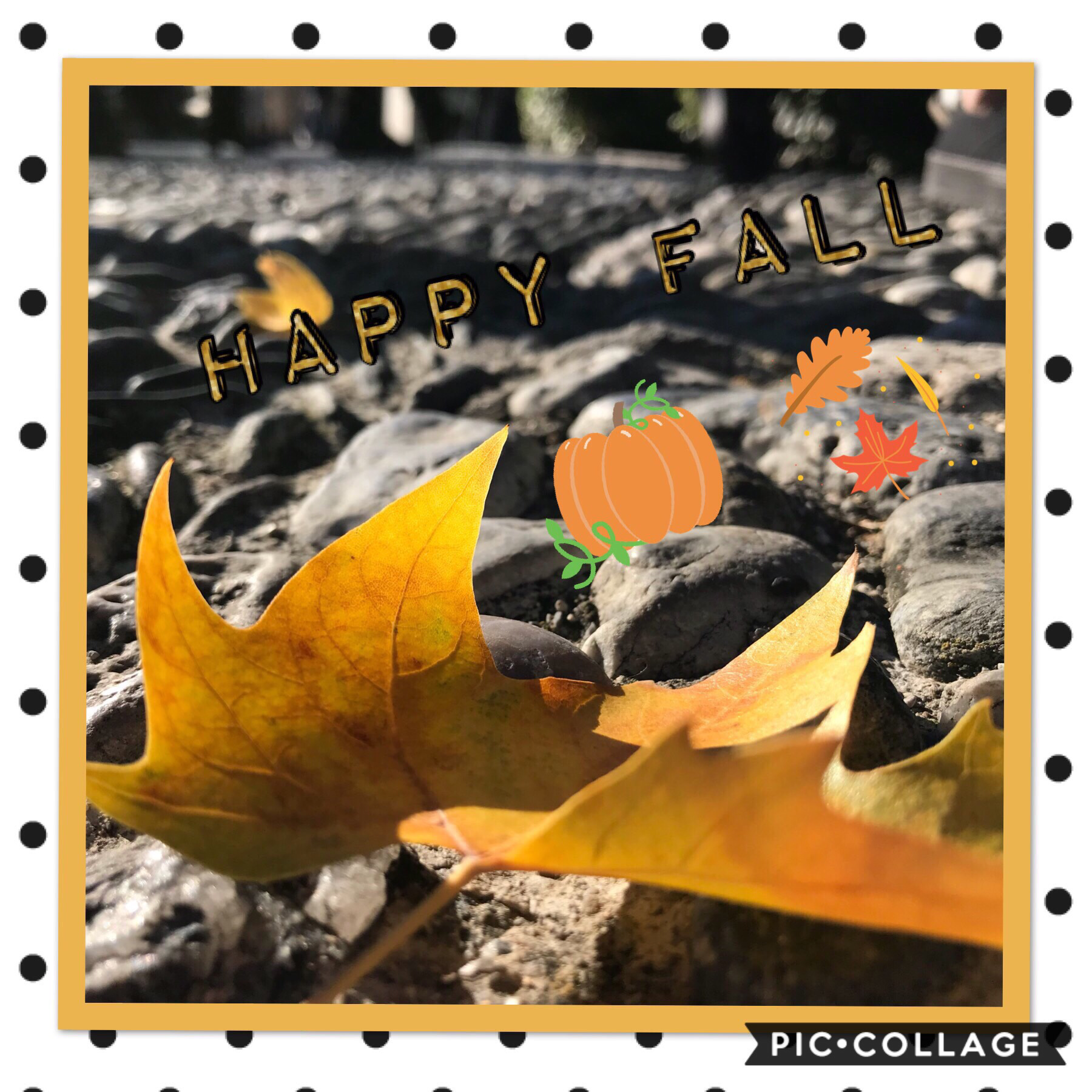 Happy Fall! Also, this is my first post!!! Follow me for more collages
🧡🍂