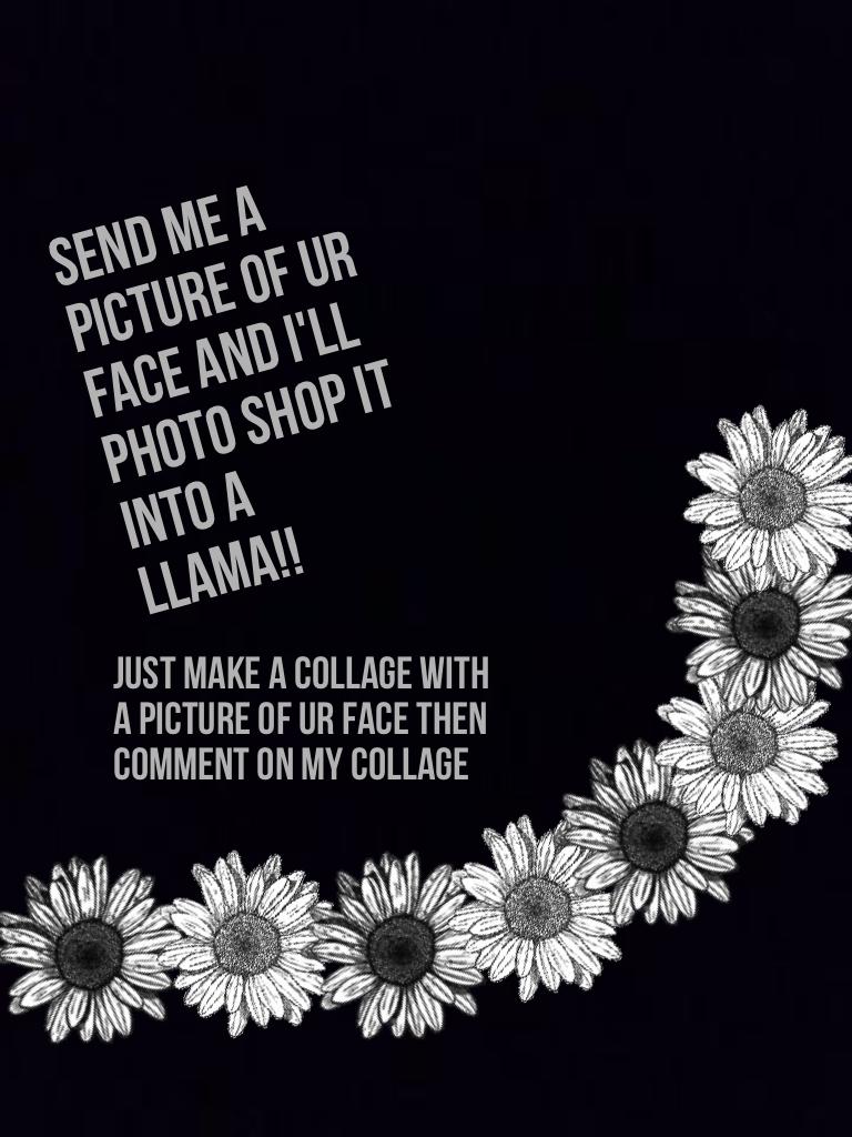 Want a llama photoshop