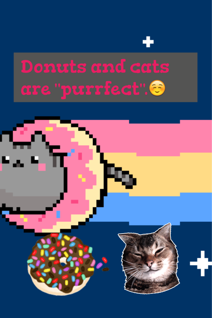 Donuts and cats are "purrfect".☺️