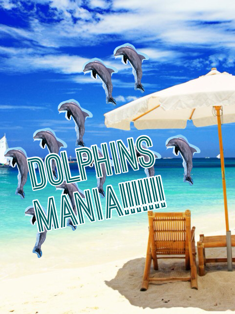 Dolphins mania!!!!!!!