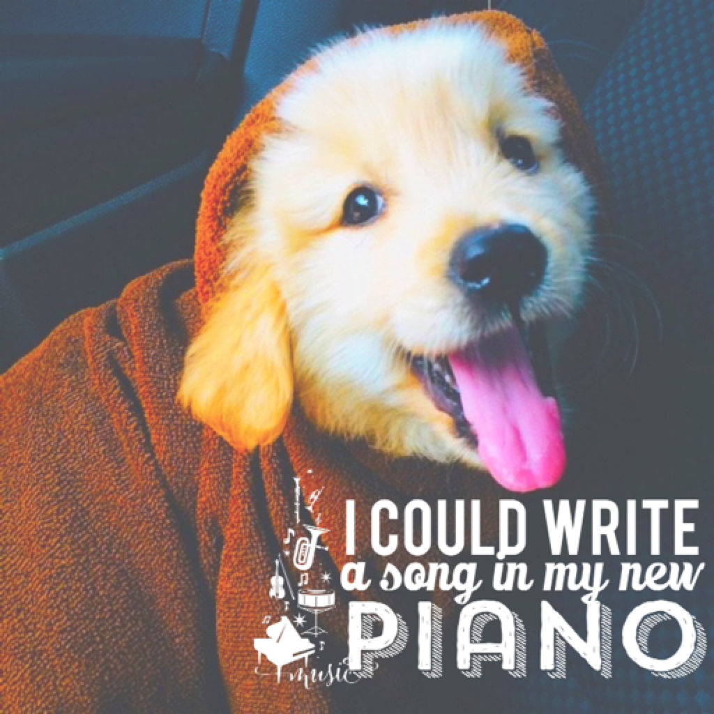 Piano ~ Ariana Grande 🍂❤️
Anyone wanna be PC besties?