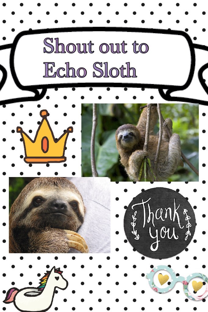Thank you Echo Sloth
