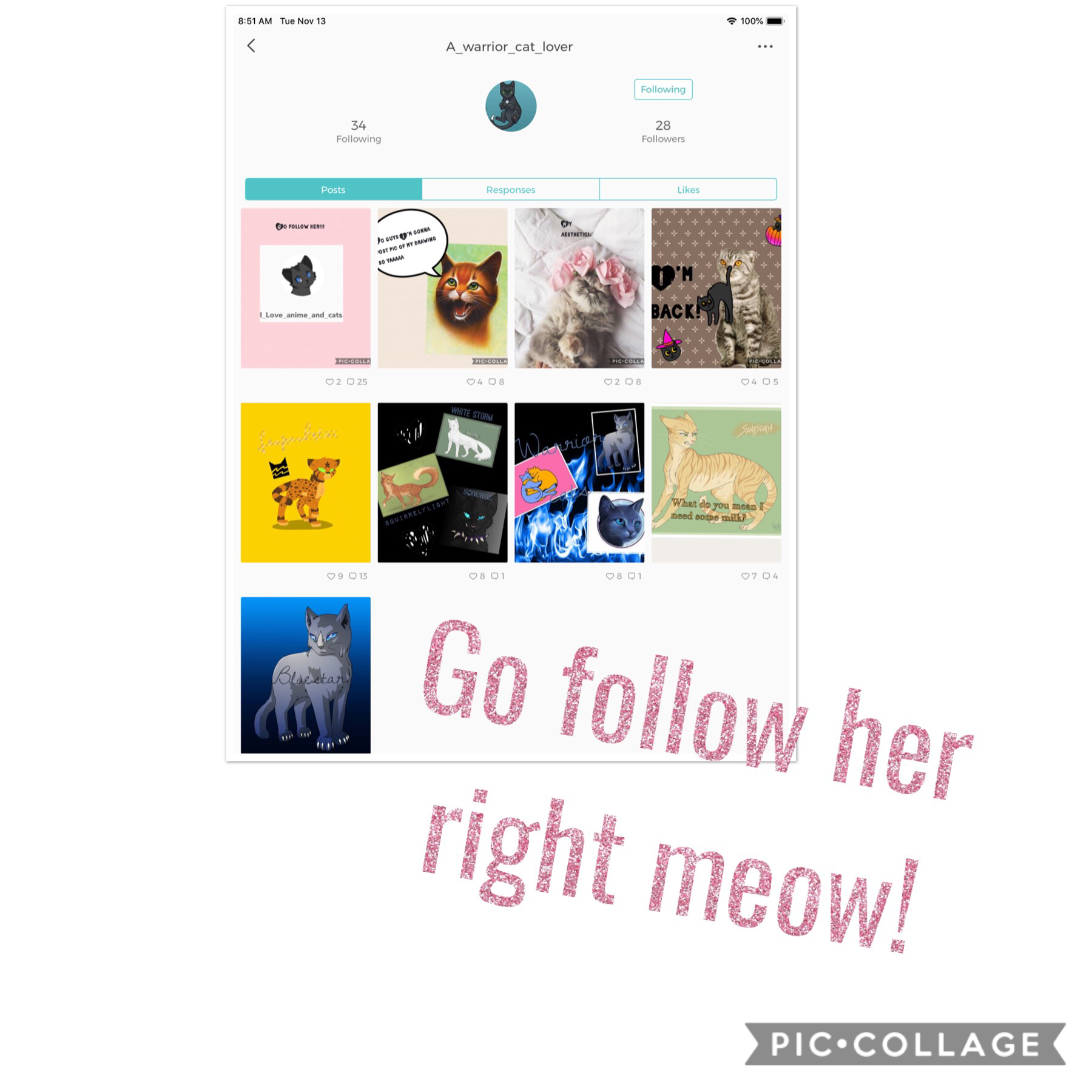 Follow her right meow!