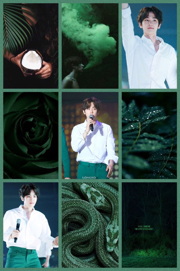 💚 tap 💚
{ 09/24/17 } { 13:38 }

hey everybody! i’m so sorry that i’ve been inactive for a bit, school and it’s drama has me swamped. enjoy this baekhyun aesthetic requested by somebody from facebook 🖤
