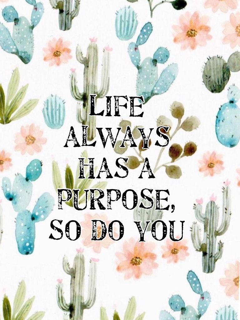 Life always has a purpose, so do you