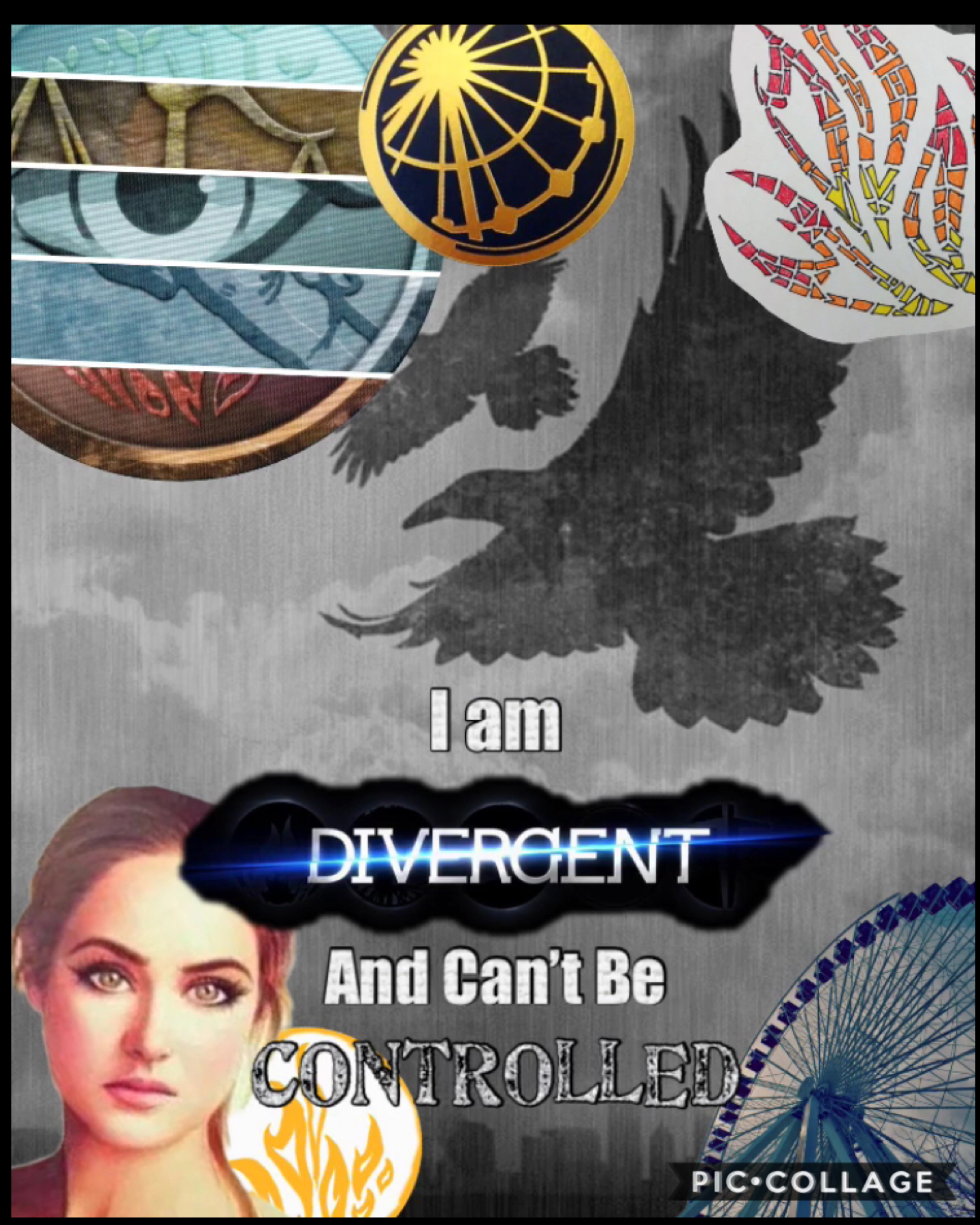 Here is a collage I made from on of my favorite books by Veronica Roth!