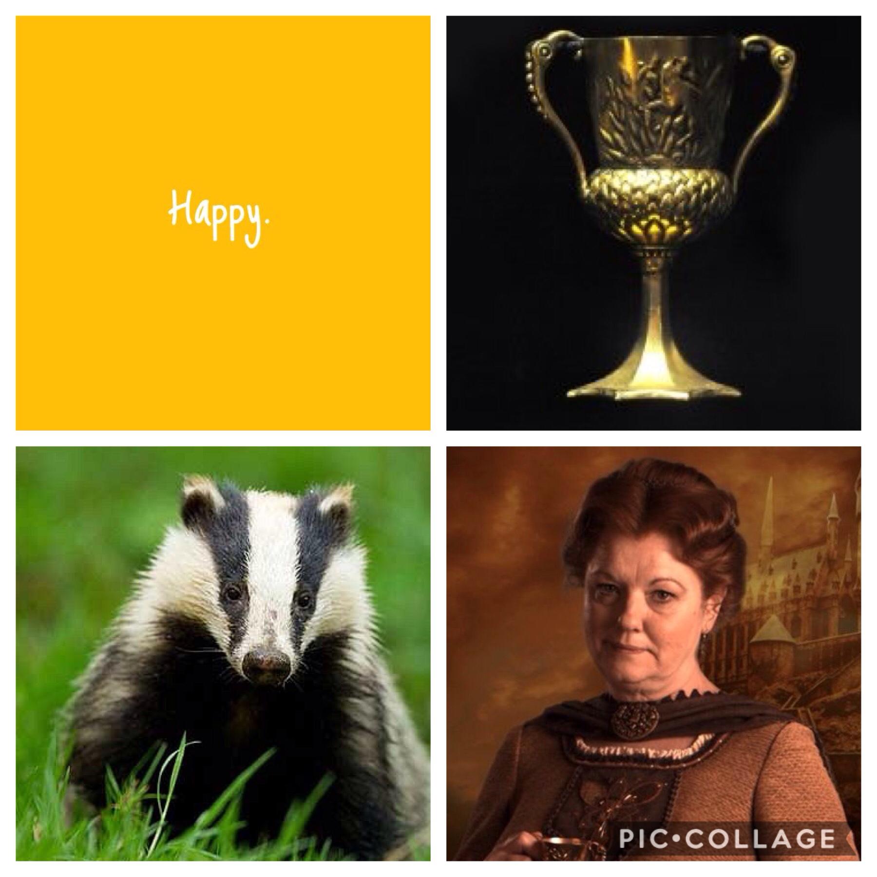 Last, but definitely not least of the Hogwarts Houses, Hufflepuff! Here's the Hufflepuff aesthetic and sorry that I haven't gene on much 🙃