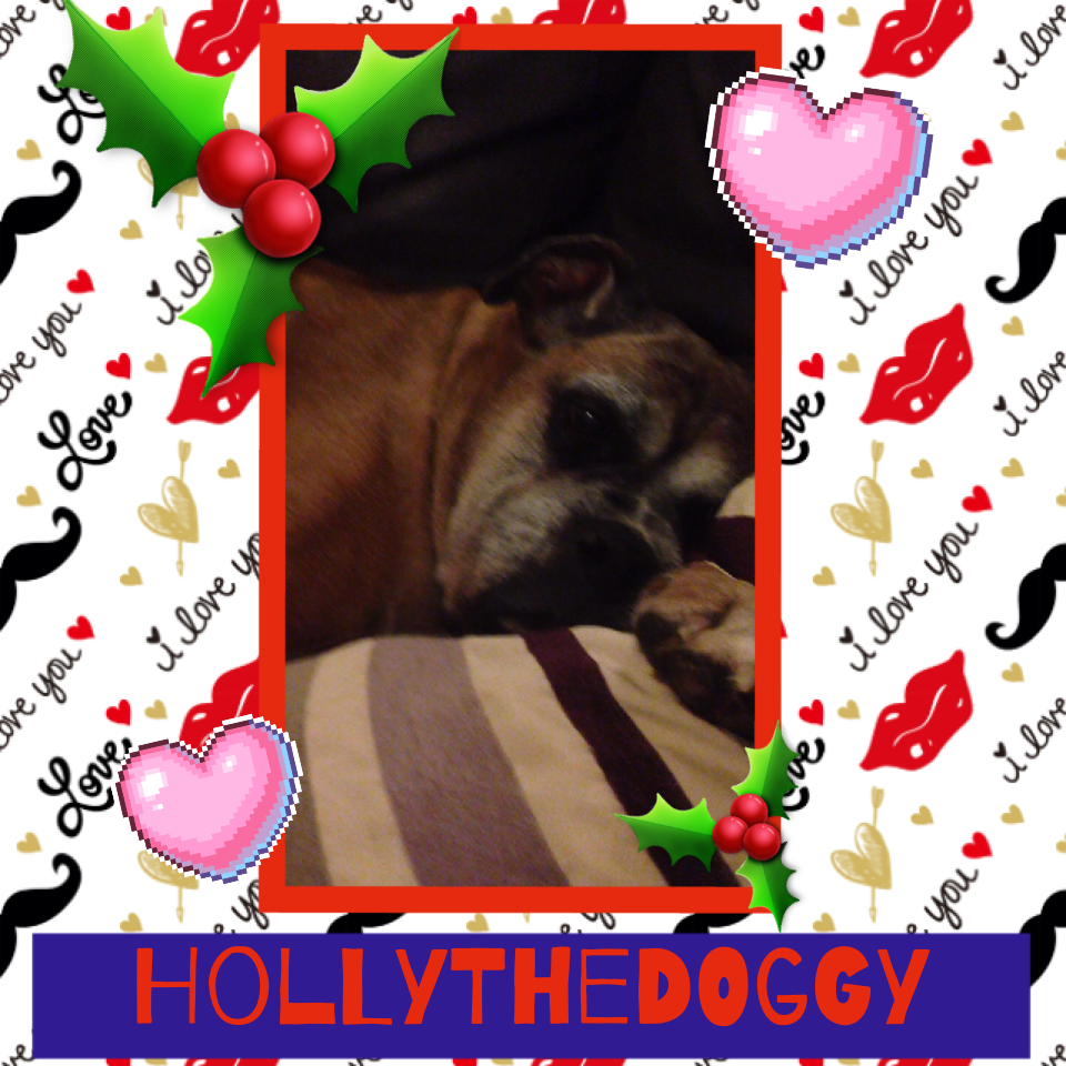 HollyTheDoggy my dog whoose really ill .