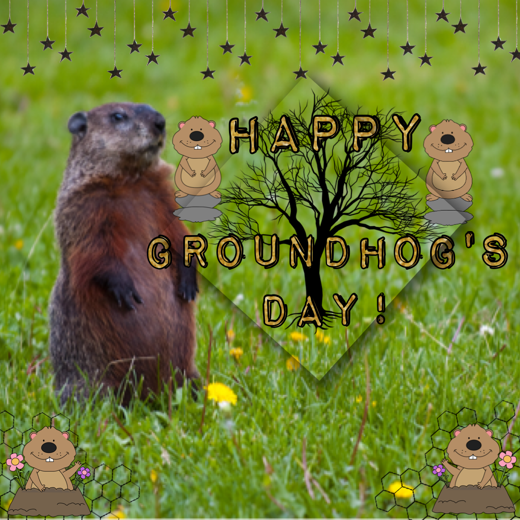 Happy Groundhogs Day!!!!