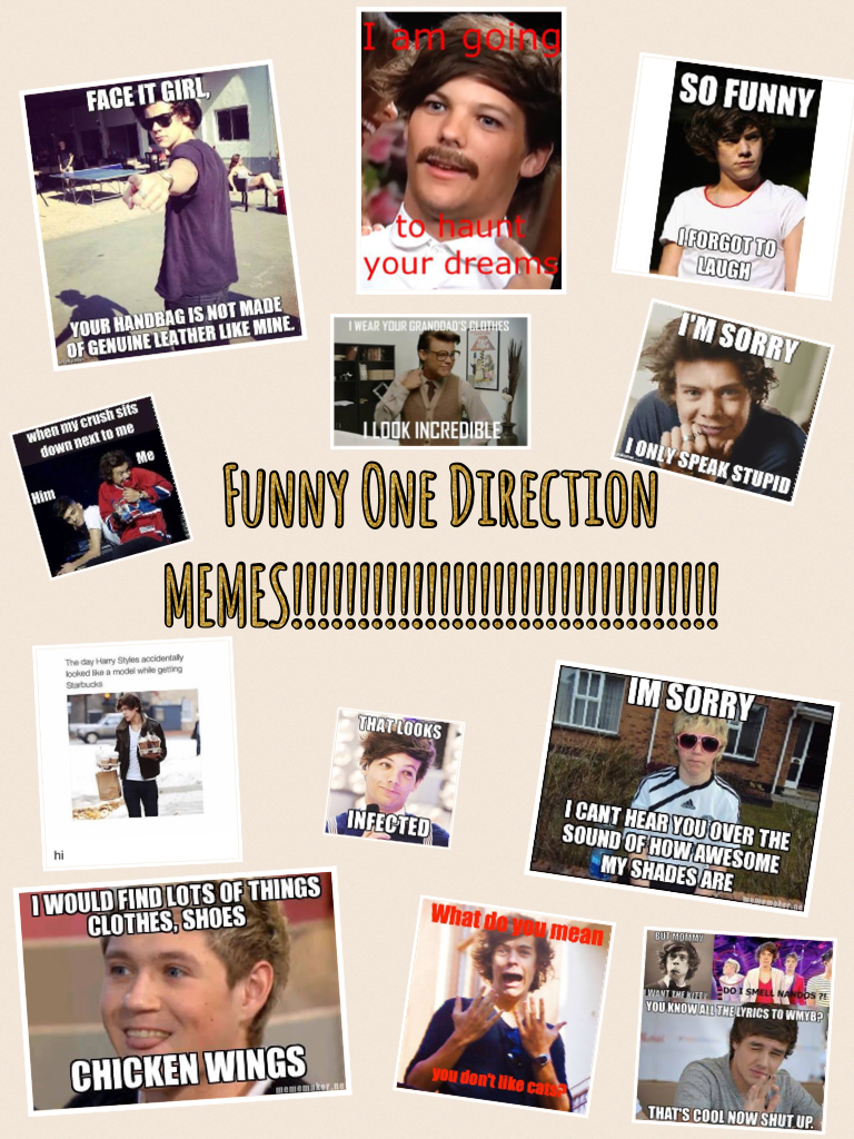 Funny One Direction MEMES!!!!!!!!!!!!!!!!!!!!!!!!!!!!!!!!