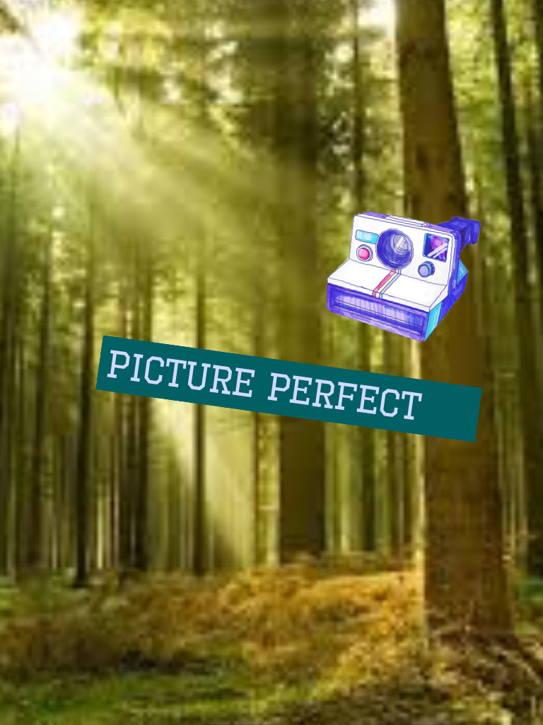 Picture perfect 
