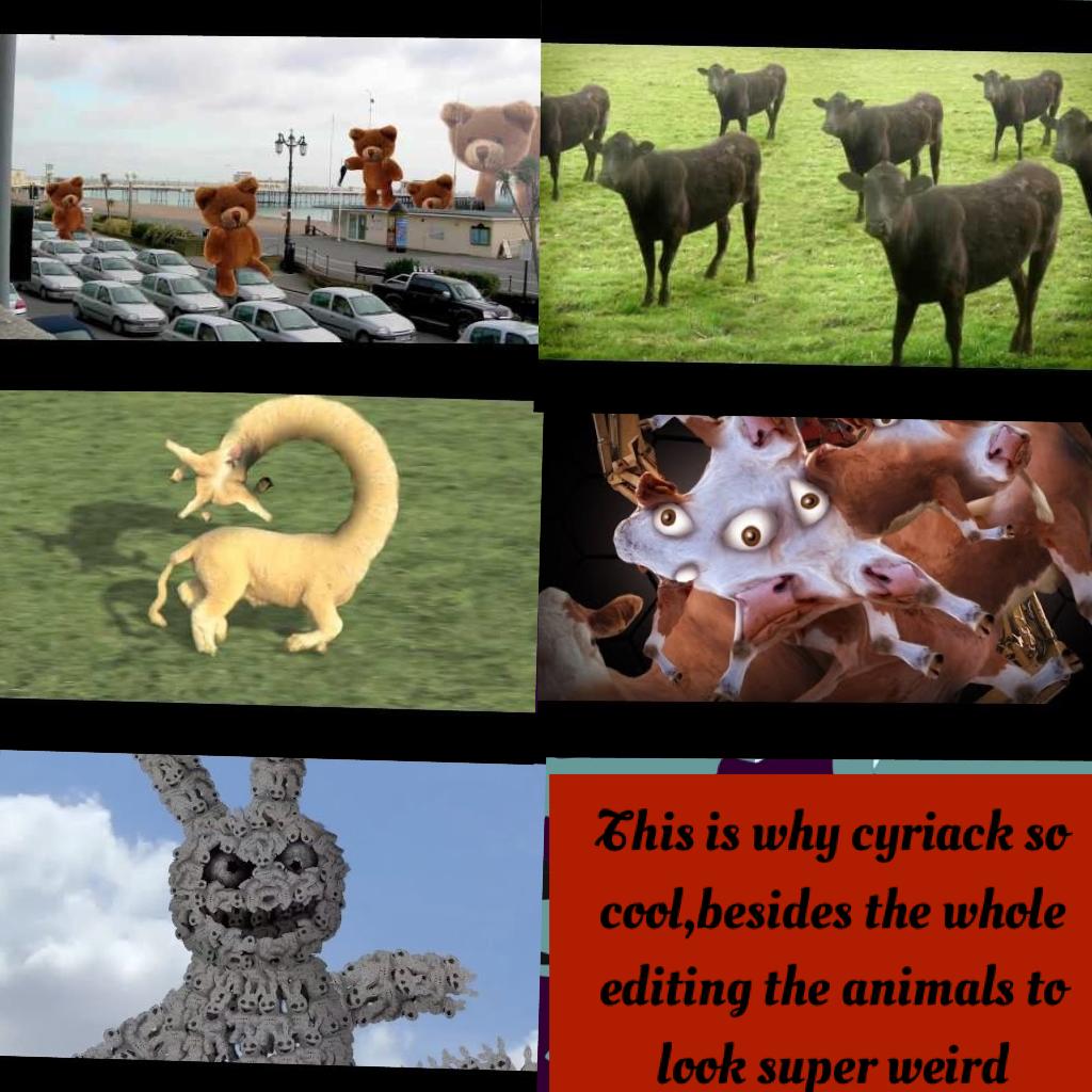 Animals shall be edited by cyriack the youtuber!