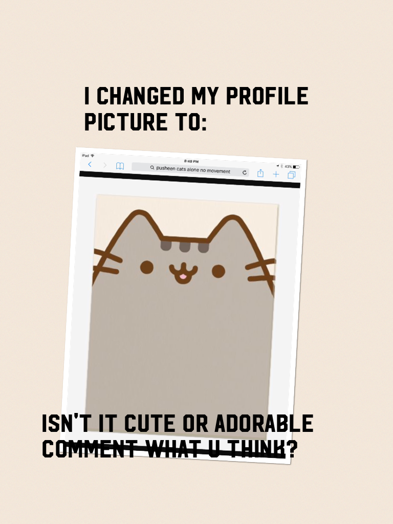 Pusheen cats are IN