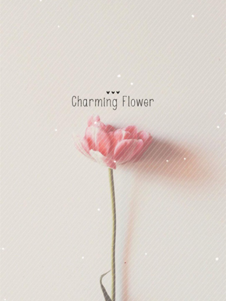 CHARMING FLOWER 