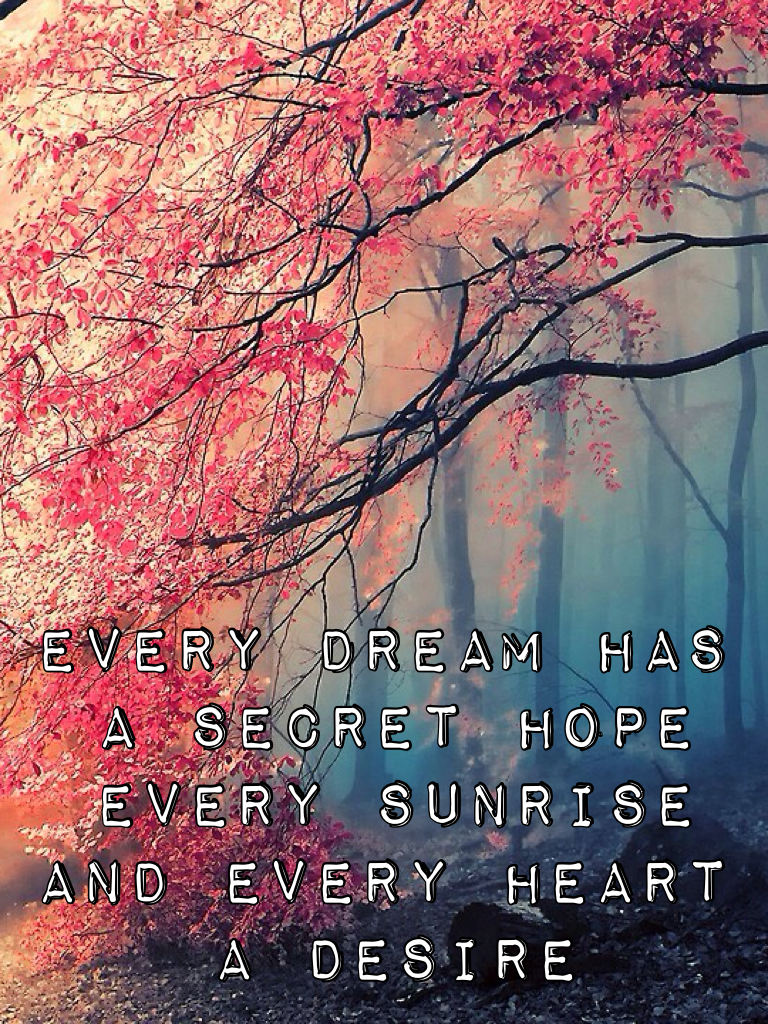 every dream has a secret hope every sunrise and every heart a desire