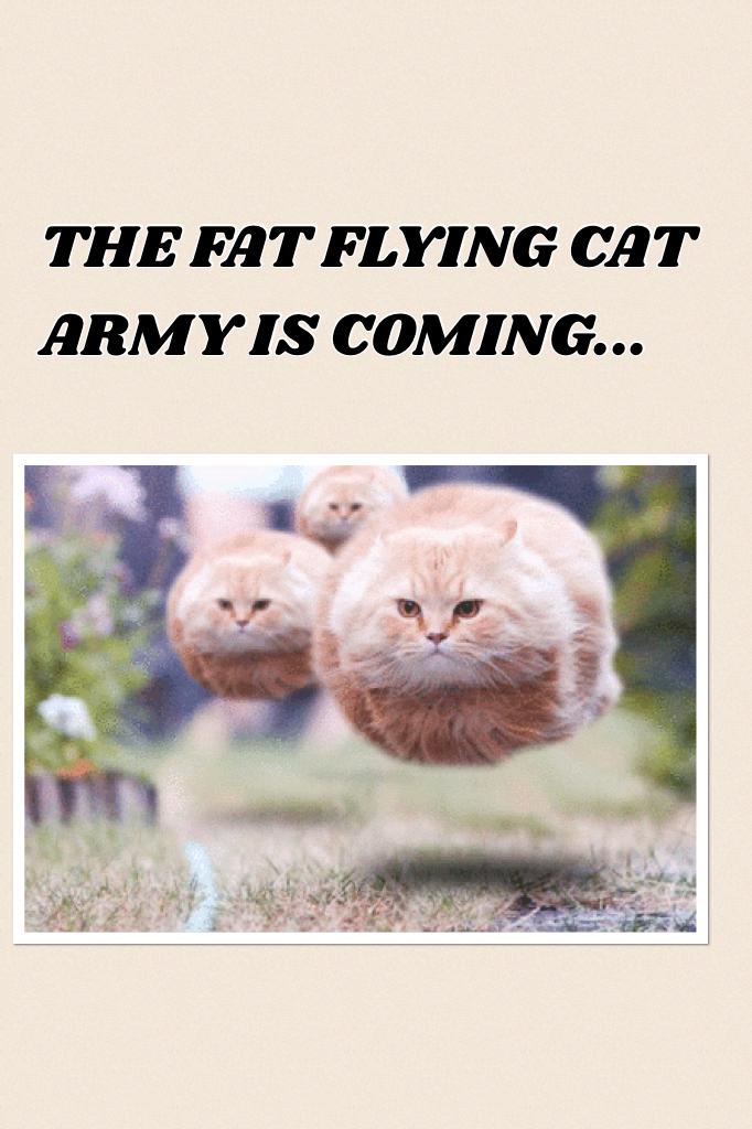 THE FAT FLYING CAT ARMY IS COMING...