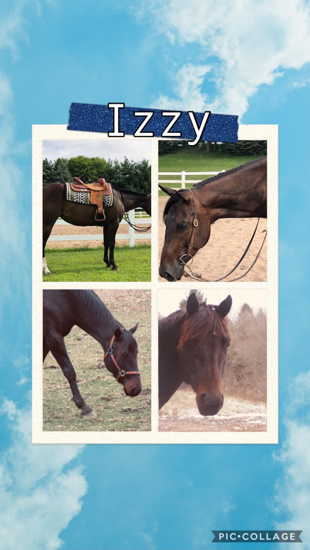 Izzy used to be my Dad’s show mare but then we sold her because we got Albert😢 Izzy was a very sweet girl and she loved hanging out with Lucy and Honey