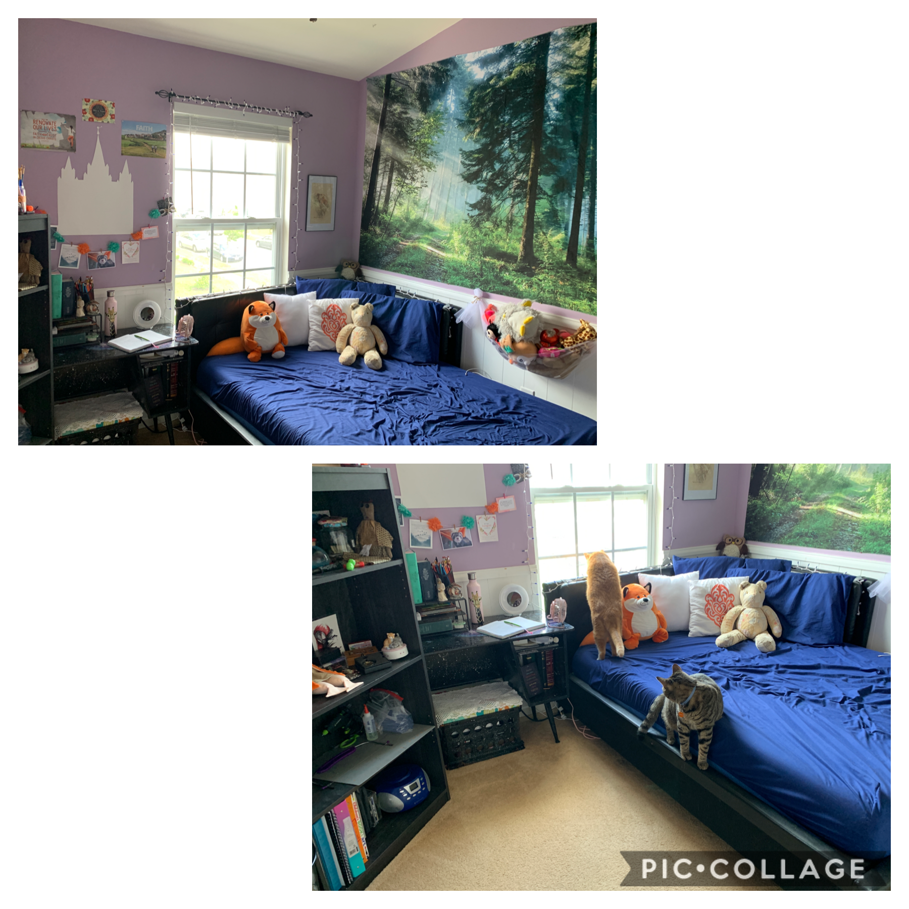 Redesigned my room; I think the cats are enjoying it 😂