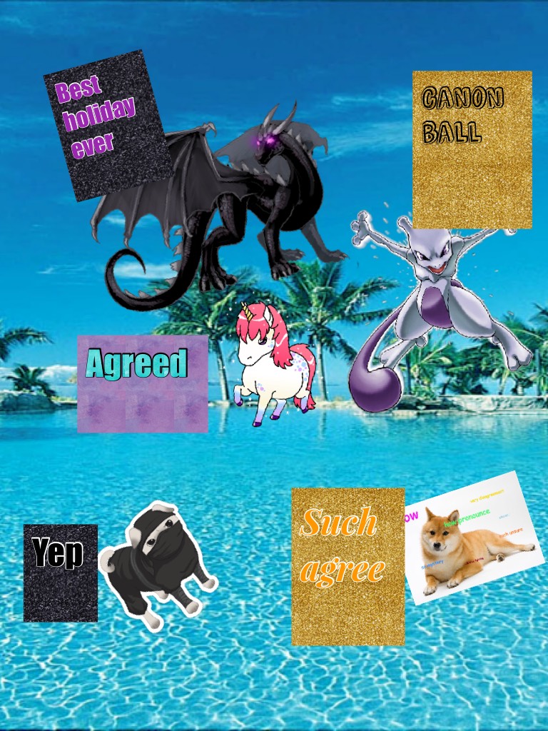 The best holiday with the enderdragon  mewtwo a unicorn ninja pug and doge 😻😂😂😂😂😂😂
