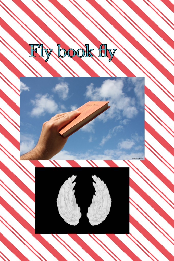 Fly book fly 