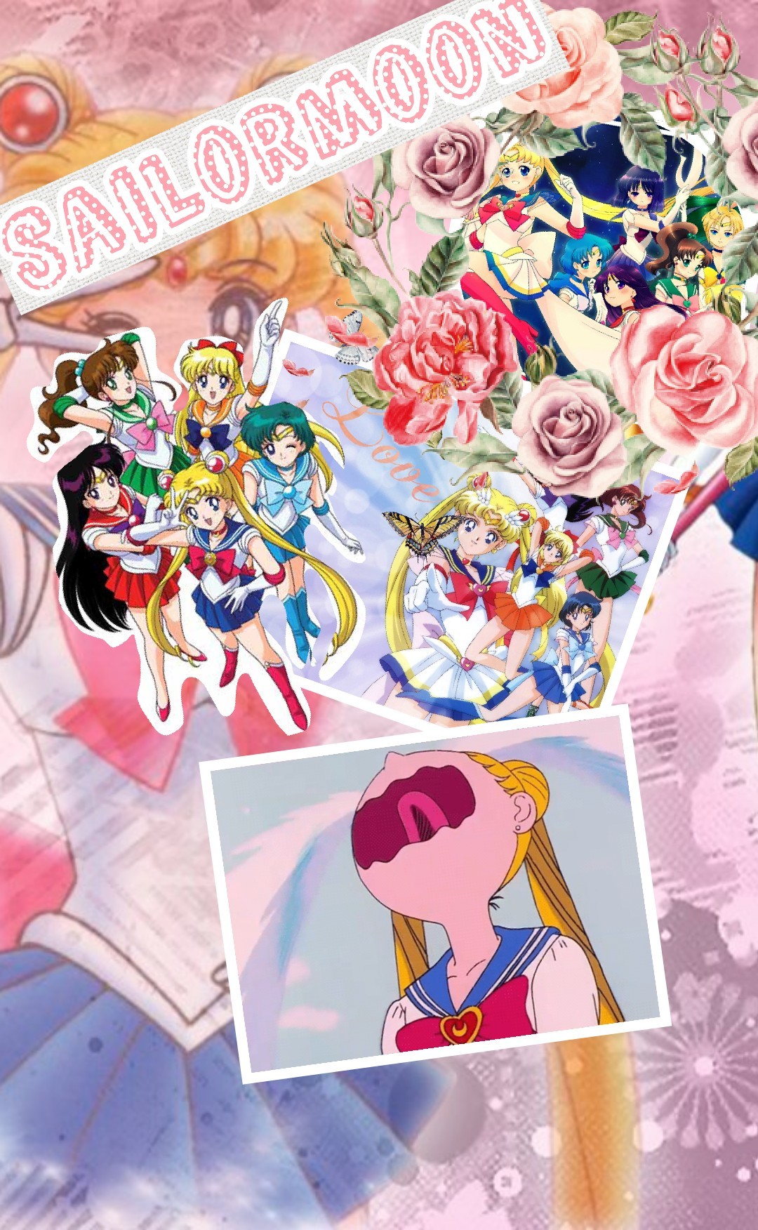 Sailormoon 