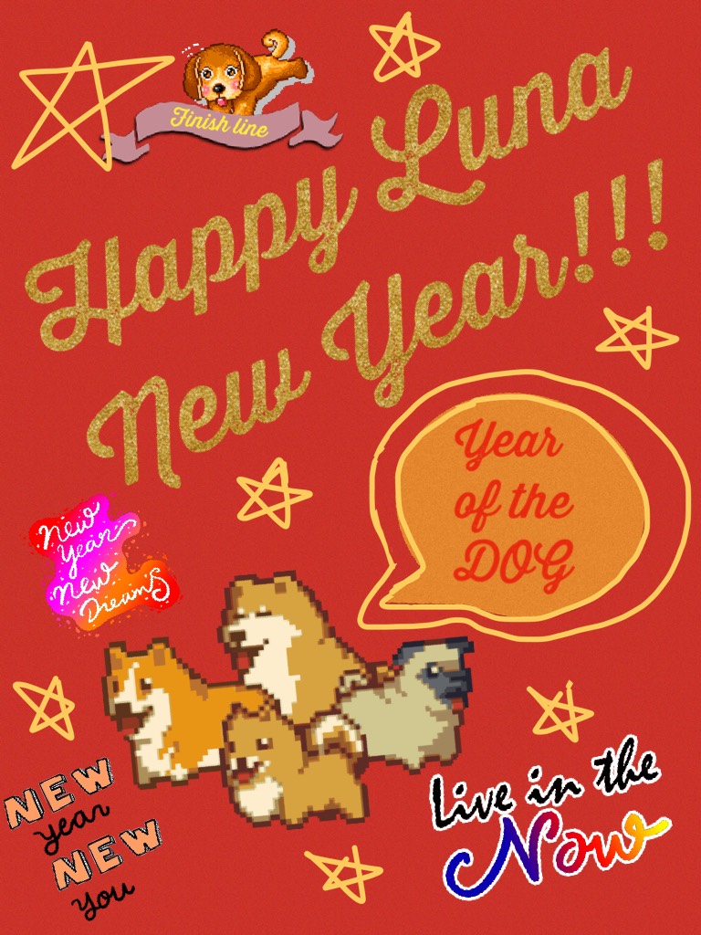 Happy Luna New Year!!!🐶