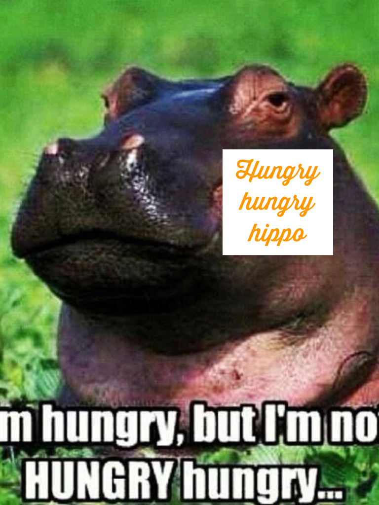 Hungry hungry hippo 