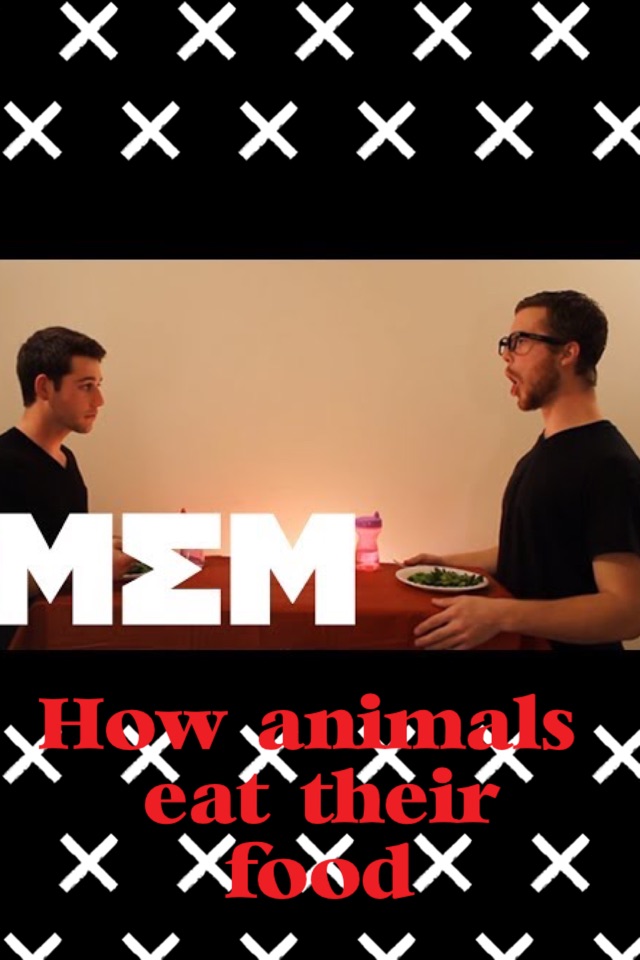 How animals eat their food