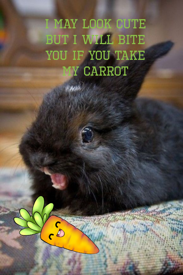 I may look cute but I will bite you if you take my carrot