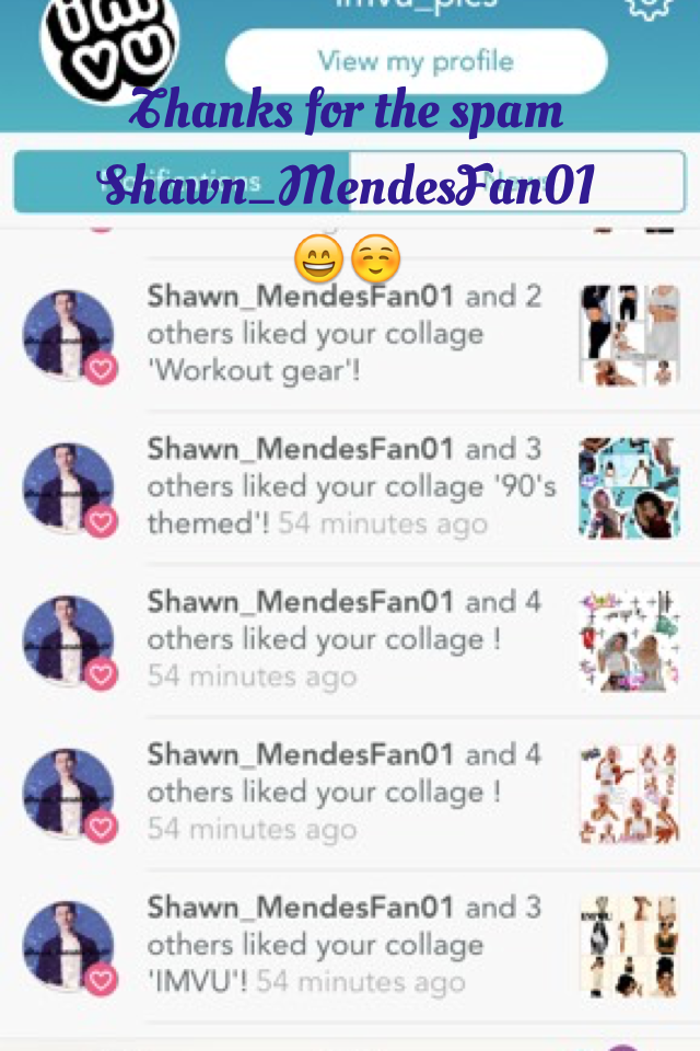 Thanks for the spam Shawn_MendesFan01 😄☺️